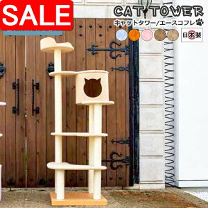 yX[p[SALE 10%OFFIz Lbg^[ Y Ace coffret G[X Rt { u^ Â łȍ\ ^ꂵɂ CeA nEXt X RpNg  ^s