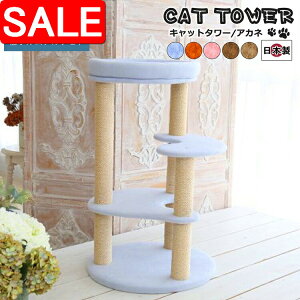 yX[p[SALE 10%OFFIz Lbg^[ Y Akane AJl { Â łȍ\ ^ꂵɂ ^s ȃXy[X X RpNg ܂Ƃ bNX ؓo  ^