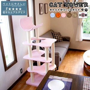 y|Cg5{I 3܂ŁIz Lbg^[ Y Minette ~lbg { Â łȍ\ ^ꂵɂ ^s ȃXy[X X RpNg ܂Ƃ bNX ؓo 