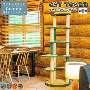 y|Cg5{I30Iz Lbg^[ Y Tatami  { Â łȍ\ ^ꂵɂ ^s ȃXy[X X RpNg ܂Ƃ bNX ؓo 