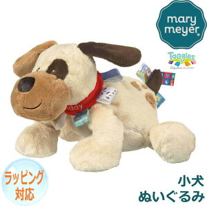 y|Cg5{I}\ԒIz Mary Meyer [}C[ [E}C[ ʂ ^M[Y ofB hbO  q lC uh Mtg 蕨 v[g Ώ۔NF0ˁ` 317