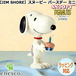 y|Cg5{I}\ԒIz Xk[s[ o[Xf[ ~j SNOOPY tBMA yJIM SHOREz u CeA enesco GlXR RNV lC uh Mtg 蕨 v[g 4059441