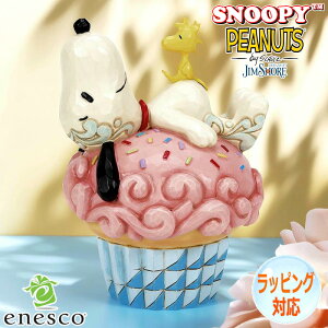 Xk[s[ CCO I JbvP[L EbhXgbN tBMA u l` WVA Mtg CeA KAi s[ibc Peanuts SNOOPY JIM SHORE GlXR enesco 6016266