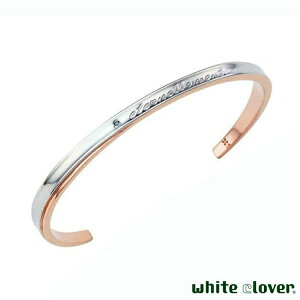 y|Cg5{IyVC[OXӍՁz zCgN[o[ white clover fB[X oO \ i u[_Ch AM[t[ T[WJXeX316L sN 4SBG029GO