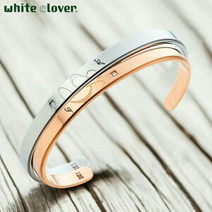 y|Cg5{IyVC[OXӍՁz zCgN[o[ white clover yA oO \ AM[t[ T[WJXeX316L _Ch u&v sNVo[ 4SBG031GO-032S