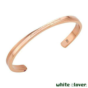 y|Cg5{IyVC[OXӍՁz zCgN[o[ white clover fB[X oO \ a AM[t[ T[WJXeX316L NX }bg sN 4SBG035MG