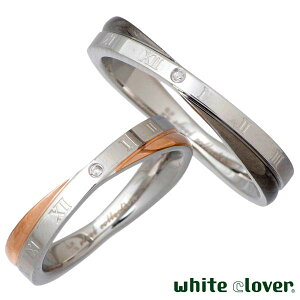y|Cg5{I 28܂ŁIz zCgN[o[ white clover yA O w ANZT[ AM[Ή XNX _Ch[} XeX S[h ubN 7`13 13`19 