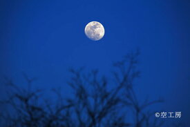 フォトカード 「蒼月」星・月・夜景風景写真 空 雲 月【空工房】