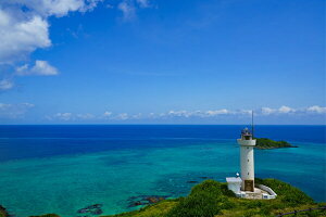 tHgJ[h uvۍ蓔iΊ_Ŗk[jvEEiiʐ^  _ CyH[z