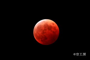 tHgJ[h uvEEiiʐ^  _ yH[z