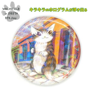 킿ӂ[ǁiWachifieldj^zOʃobWiIAnJ̊Xj_ L wf202405gSIESTA