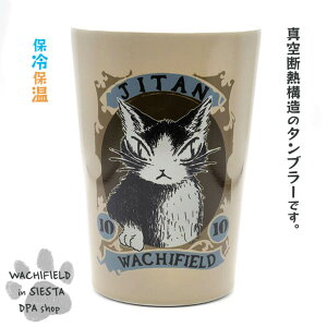 킿ӂ[ǁiWachifieldj^LXe^u[iW^j_ L wf202406SIESTA