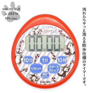 킿ӂ[ǁiWachifieldj^vth^C}[iLfBj_ L wf202407eSIESTA