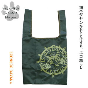 킿ӂ[ǁiWachifieldj^GRlRobOiNCE[΁jGRobO_ L wf202407SIESTA