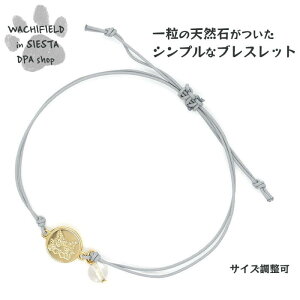 킿ӂ[ǁiWachifieldj^ꗱVR΃uXbgij_ L wf202408dSIESTA