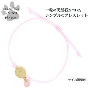 킿ӂ[ǁiWachifieldj^ꗱVR΃uXbgi[YNH[cj_ L wf202408dSIESTA