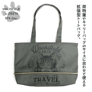 킿ӂ[ǁiWachifieldj^LтobOigxj_ L wf202410aSIESTA