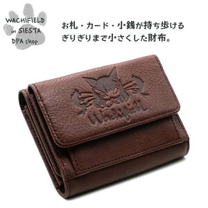 킿ӂ[ǁiWachifieldj^z_ L wf202411bSIESTA