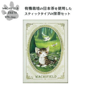 킿ӂ[ǁiWachifieldj^|XgJ[hɂȂ邨ZbgiEBj_ L wf202412cSIESTA