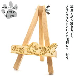 킿ӂ[ǁiWachifieldj^~jC[[iVGX^j_ L wf202501cSIESTA