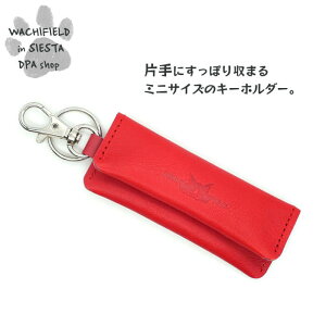 킿ӂ[ǁiWachifieldj^ЎɎ܂}`L[iԁj_ L wf202502cSIESTA