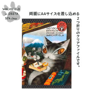 킿ӂ[ǁiWachifieldj^2c܂NAt@C{֍s_ L wf202502dpaSIESTA