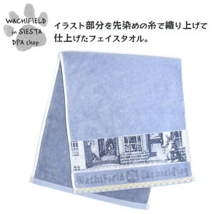 킿ӂ[ǁiWachifieldj^^V̊XF^TiBu[j_ L wf202502bSIESTA