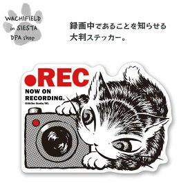 わちふぃーるど（Wachifield）／ステッカー（REC＃4）ダヤン 猫 wf202503dSIESTA