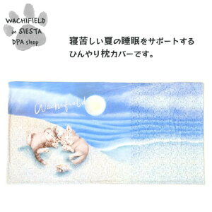 킿ӂ[ǁiWachifieldj^N[A[gJo[iVсj_ L wf202504eSIESTA