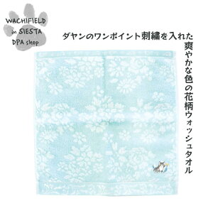 킿ӂ[ǁiWachifieldj^u[PW^TiVMVAEBLj_ L wf202504bSIESTA