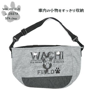 킿ӂ[ǁiWachifieldj^}`|PbgiɂL[j_ L wf202505cSIESTA