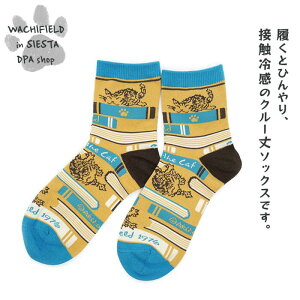 킿ӂ[ǁiWachifieldj^⊴\bNXiubNXj_ L wf202505dSIESTA