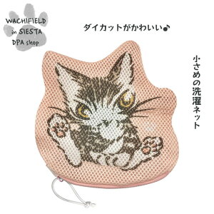 킿ӂ[ǁiWachifieldj^h[|[`ixCr[j_ L wf202505dSIESTA