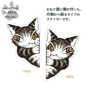 わちふぃーるど（Wachifield）／インサイドステッカー（ひょっこり）ダヤン 猫 wf202505cSIESTA