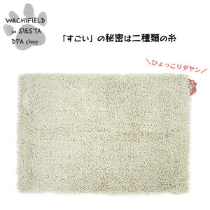 킿ӂ[ǁiWachifieldj^oX}bgi񂹂j_ L wf202506cSIESTA