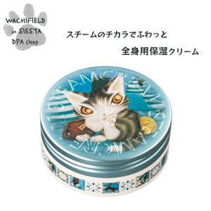 킿ӂ[ǁiWachifieldj^STEAM@CREAMiXj_ L wf202506licenseSIESTA