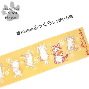 킿ӂ[ǁiWachifieldj^{fB^Ii񂹂Ej_ L wf202506cSIESTA