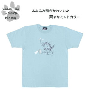 킿ӂ[ǁiWachifieldj^݂[T@Liӂ݂ӂ݁@~gjAp_ L wf202507dSIESTA