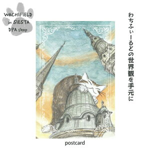 킿ӂ[ǁiWachifieldj^|XgJ[hiNWi|Jj_ L wf202507dSIESTA