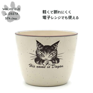 킿ӂ[ǁiWachifieldj^Th傱Jbvi_j_ L wf202507cSIESTA