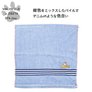 킿ӂ[ǁiWachifieldj^fjW^Tiނj_ L wf202507bSIESTA