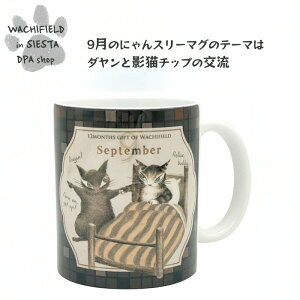 킿ӂ[ǁiWachifieldj^ɂX[}Oi9j_ L wf202508dSIESTA