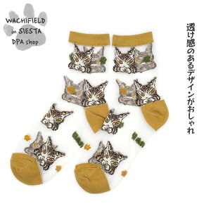 킿ӂ[ǁiWachifieldj^V[X[\bNXił݁j_ L wf202508cSIESTA