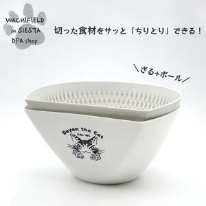 킿ӂ[ǁiWachifieldj^֗ȂƂ肴{Ei_j_ L wf202508dSIESTA