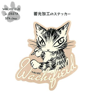 킿ӂ[ǁiWachifieldj^~XebJ[ij_ L wf202508bSIESTA