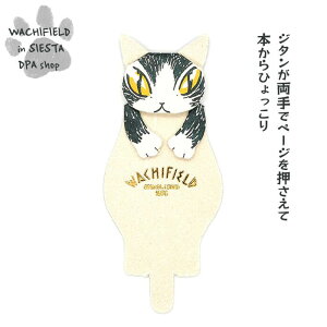 킿ӂ[ǁiWachifieldj^̂iW^2j_ L wf202508aSIESTA