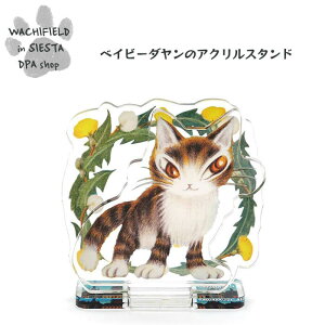 킿ӂ[ǁiWachifieldj^ANX^hiVMVAj_ L wf202508bSIESTA