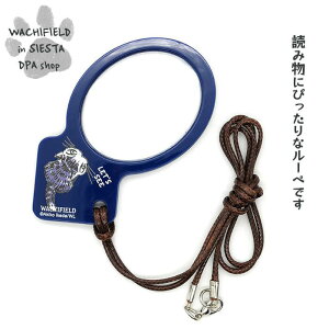 킿ӂ[ǁiWachifieldj^[fBO[yiグElCr[j_ L wf202509cSIESTA