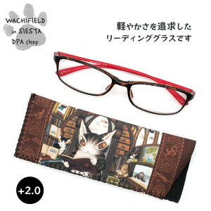 킿ӂ[ǁiWachifieldj^[fBOOX2D0i}فEj_ L wf202509cSIESTA