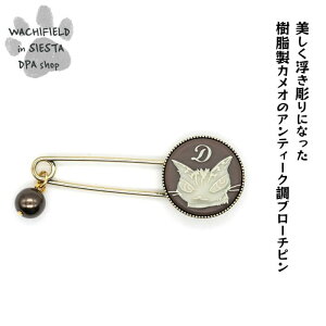 킿ӂ[ǁiWachifieldj^JIu[`siD_j_ L wf202509bSIESTA